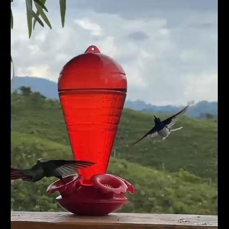 El Refugio Del Colibri Bed and Breakfast Santa Rosa de Cabal Εξωτερικό φωτογραφία