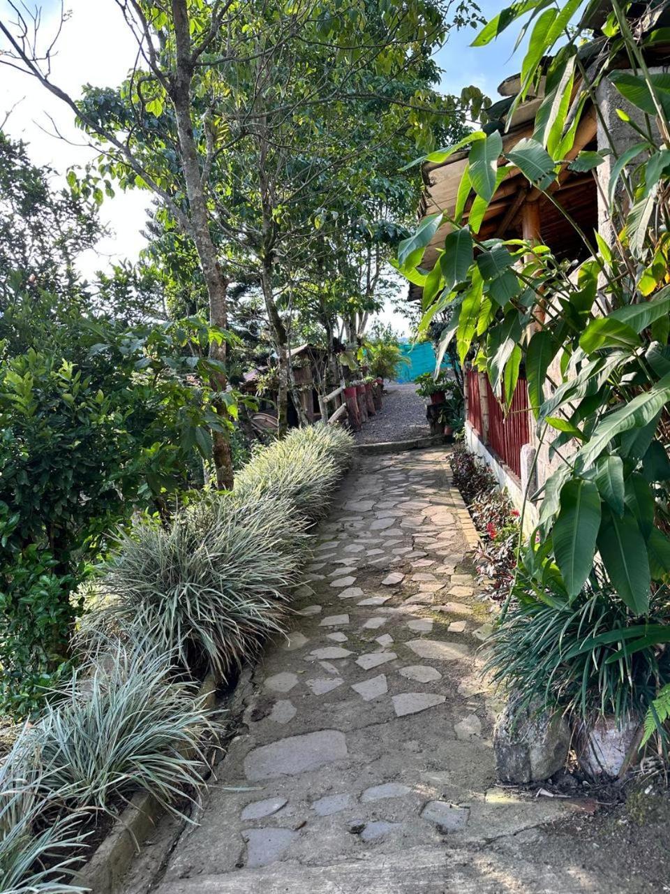 El Refugio Del Colibri Bed and Breakfast Santa Rosa de Cabal Εξωτερικό φωτογραφία