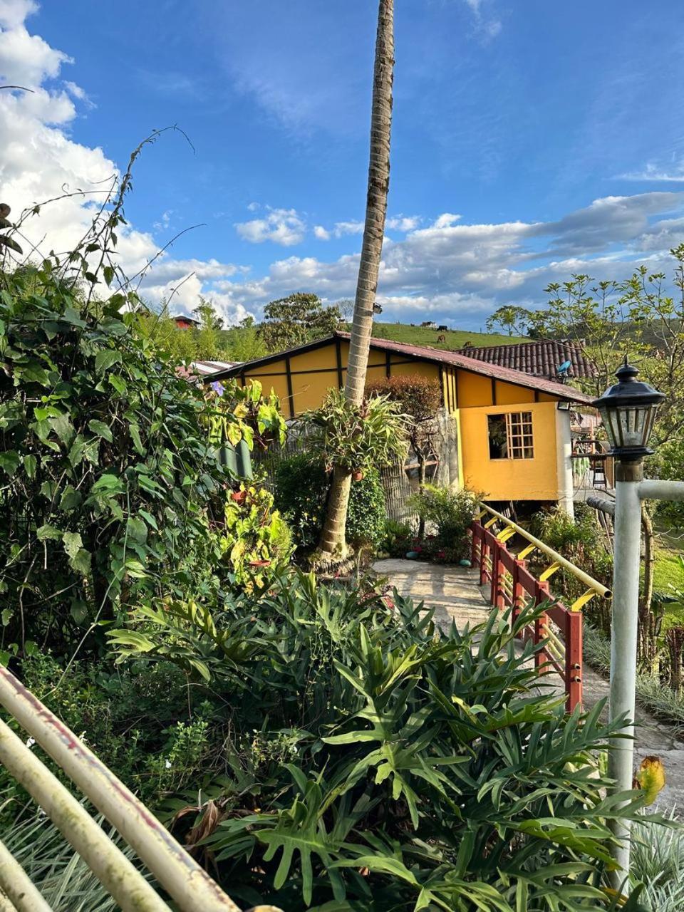 El Refugio Del Colibri Bed and Breakfast Santa Rosa de Cabal Εξωτερικό φωτογραφία